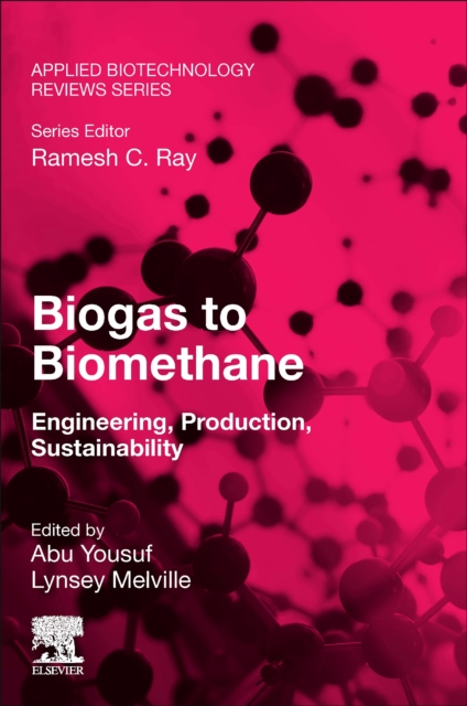 Biogas to Biomethane : Engineering, Production, Sustainability, Paperback / softback Book
