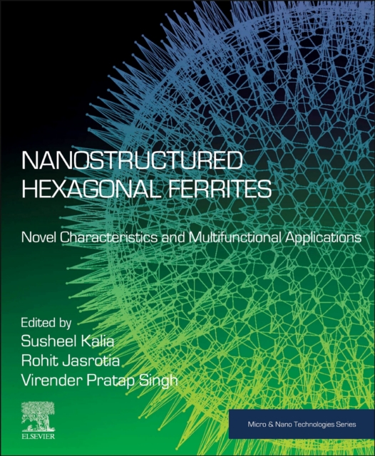 Nanostructured Hexagonal Ferrites : Novel Characteristics and Multifunctional Applications, Paperback / softback Book
