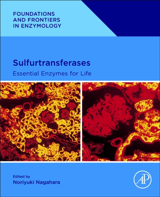 Sulfurtransferases : Essential Enzymes for Life, Paperback / softback Book