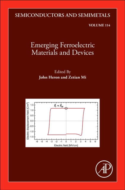 Emerging Ferroelectric Materials and Devices : Volume 114, Hardback Book