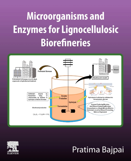 Microorganisms and enzymes for lignocellulosic biorefineries, Paperback / softback Book