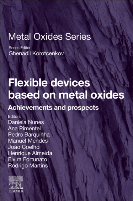 Flexible Devices Based on Metal Oxides : Achievements and Prospects, Paperback / softback Book