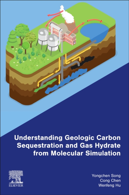 Understanding Geologic Carbon Sequestration and Gas Hydrate from Molecular Simulation, Paperback / softback Book