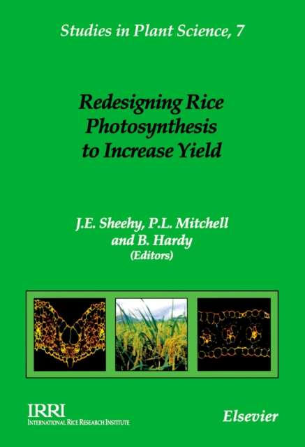 Redesigning Rice Photosynthesis to Increase Yield : Volume 7, Hardback Book