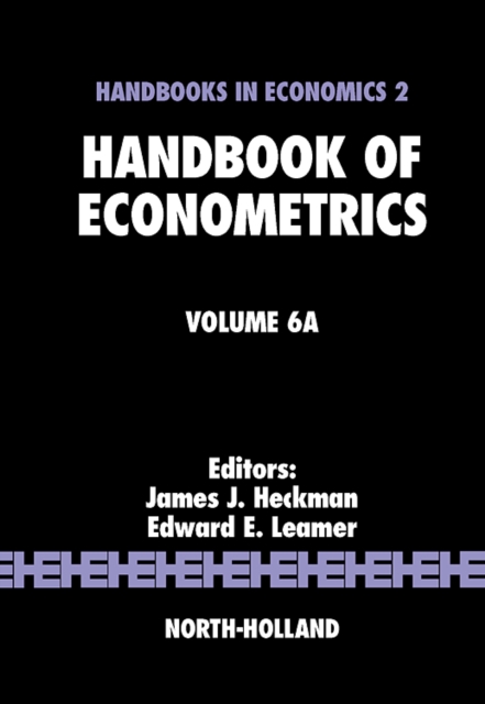 Handbook of Econometrics : Volume 6A, Hardback Book