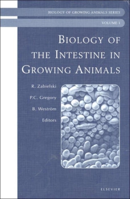 Biology of the Intestine in Growing Animals : Biology of Growing Animals Series Volume 1, Hardback Book