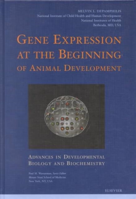 Gene Expression at the Beginning of Animal Development : Volume 12, Hardback Book