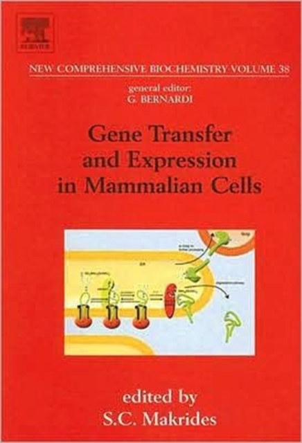 Gene Transfer and Expression in Mammalian Cells : Volume 38, Hardback Book