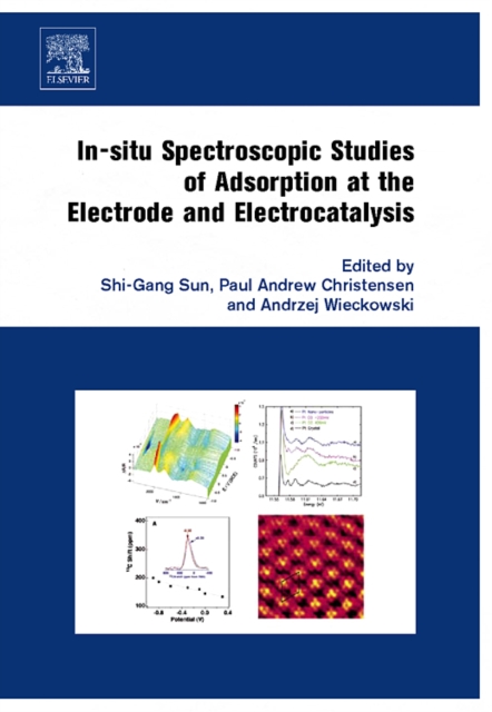 In-situ Spectroscopic Studies of Adsorption at the Electrode and Electrocatalysis, Hardback Book