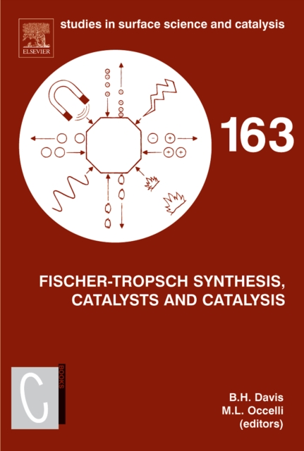 Fischer-Tropsch Synthesis, Catalysts and Catalysis : Volume 163, Hardback Book