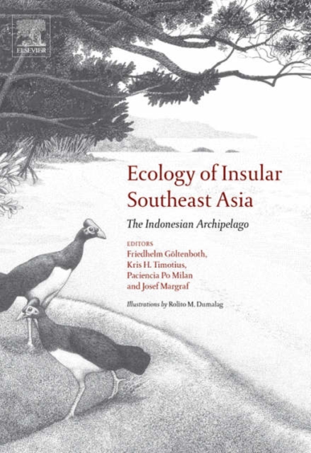 Ecology of Insular Southeast Asia : The Indonesian Archipelago, Hardback Book