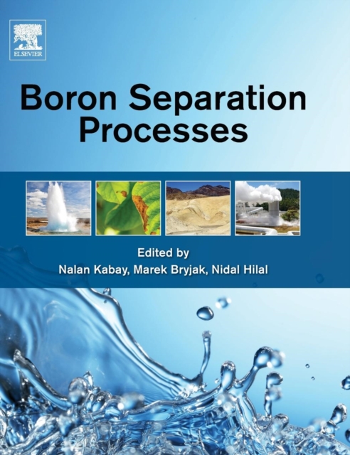 Boron Separation Processes, Hardback Book