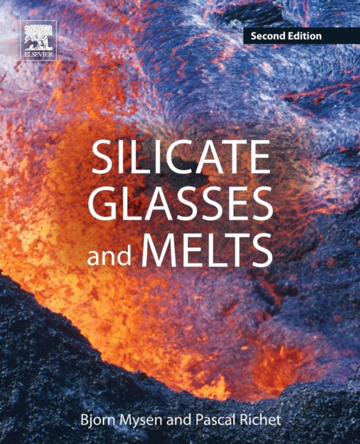 Silicate Glasses and Melts, Paperback / softback Book