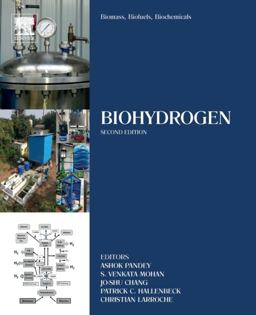 Biomass, Biofuels, Biochemicals : Biohydrogen, Paperback / softback Book