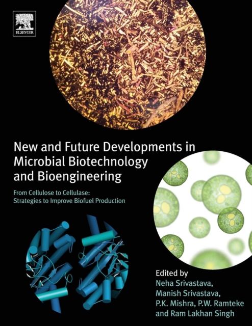 New and Future Developments in Microbial Biotechnology and Bioengineering : From Cellulose to Cellulase: Strategies to Improve Biofuel Production, Paperback / softback Book