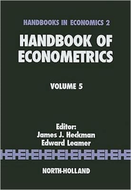 Handbook of Econometrics : Volume 5, Hardback Book