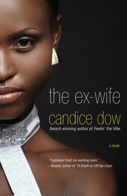 The Ex-Wife, Paperback / softback Book