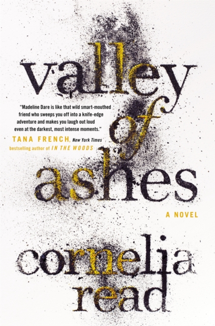 Valley of Ashes, Hardback Book