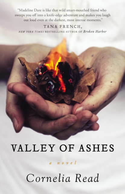 Valley Of Ashes, Paperback / softback Book