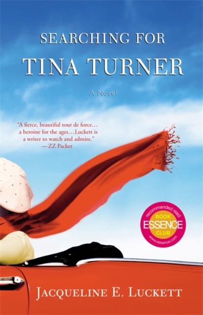 Searching For Tina Turner, Paperback / softback Book