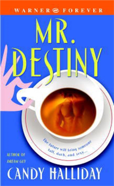 Mr Destiny, Paperback / softback Book