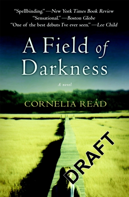 A Field Of Darkness, Paperback / softback Book