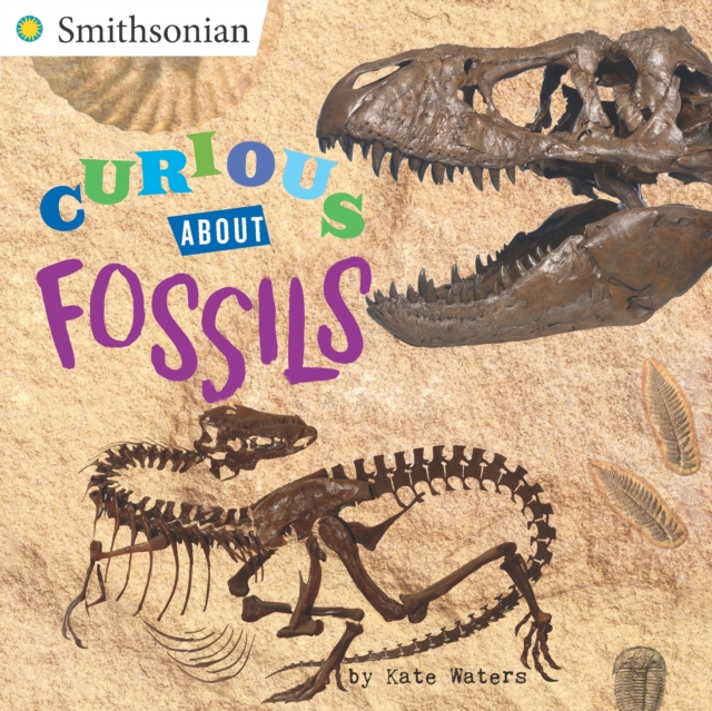 Curious About Fossils, Paperback / softback Book