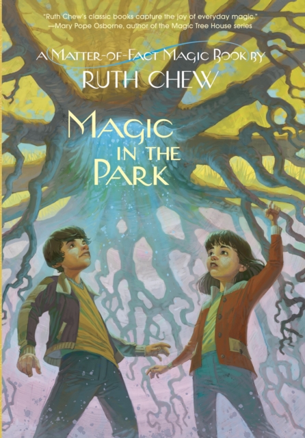 A Matter-of-Fact Magic Book: Magic in the Park, Paperback / softback Book