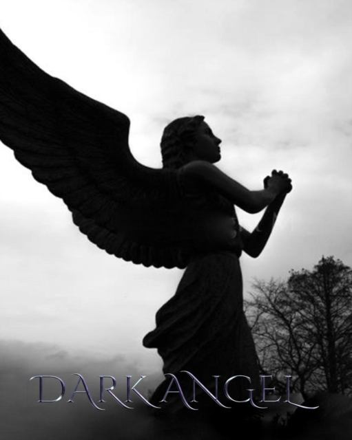 Dark Angel : Sir Michael dark angel Art Journal, Paperback / softback Book