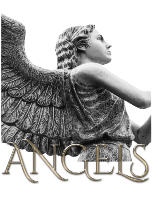 Angel Journal : Angel journal, Paperback / softback Book