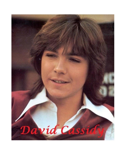 David Cassidy, Paperback / softback Book