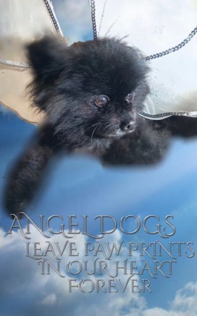 Angel Dog Journal : Angel Dogs leave paw prints in our heart forever creative journal, Paperback / softback Book