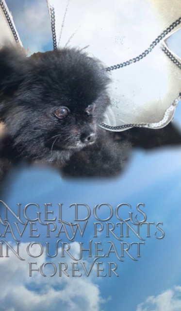 Angel Dog Journal : Angel Dogs leave paw prints in our heart forever creative journal, Hardback Book