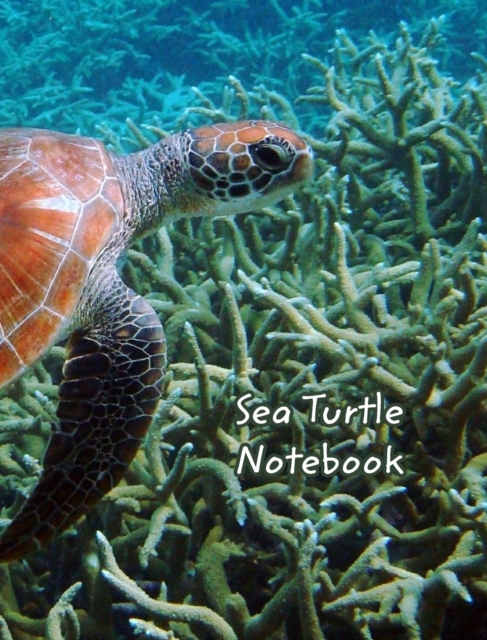 Sea Turtle Notebook, Hardback Book