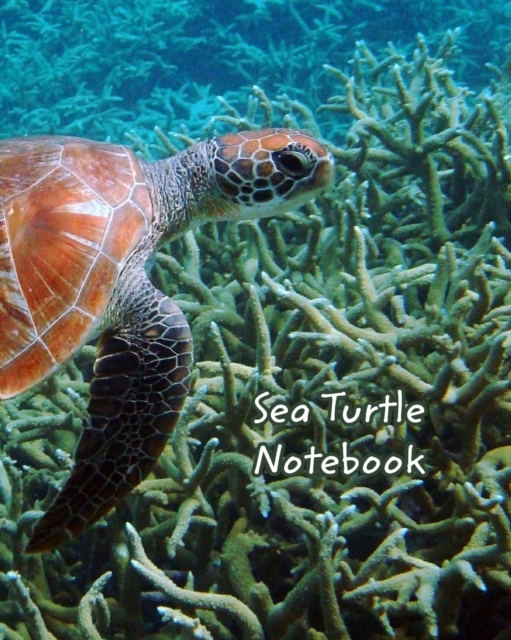 Sea Turtle Notebook, Paperback / softback Book