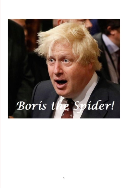 Boris the Spider!, Paperback / softback Book