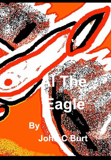 Al the Eagle ., Hardback Book