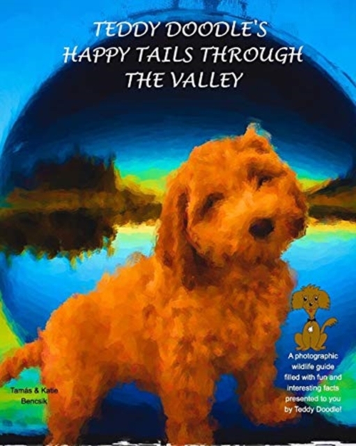 Teddy Doodle's Happy Tails Through The Valley, Paperback / softback Book