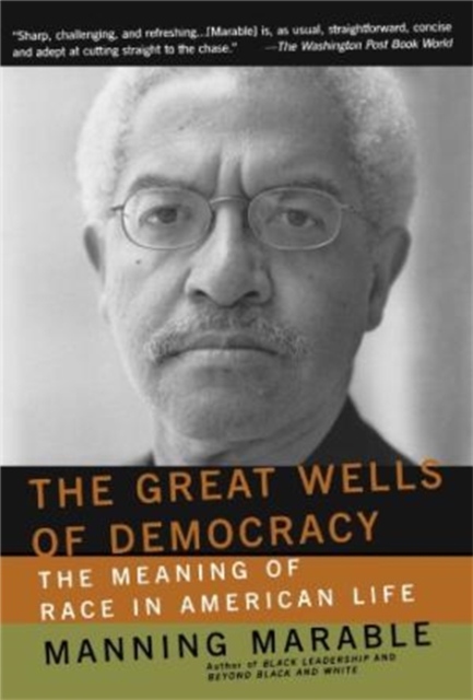The Great Wells Of Democracy : The Meaning Of Race In American Life, Paperback / softback Book
