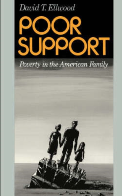 Poor Support : Poverty In The American Family, Paperback / softback Book