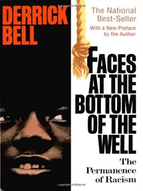 Faces at the Bottom of the Well : The Permanence of Racism, Paperback / softback Book