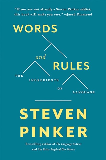 Words and Rules : The Ingredients Of Language, Paperback / softback Book