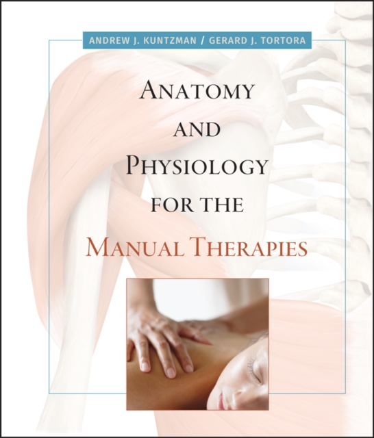 Anatomy and Physiology for the Manual Therapies, Hardback Book