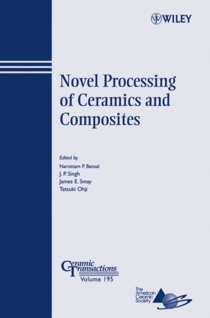Novel Processing of Ceramics and Composites, Paperback / softback Book