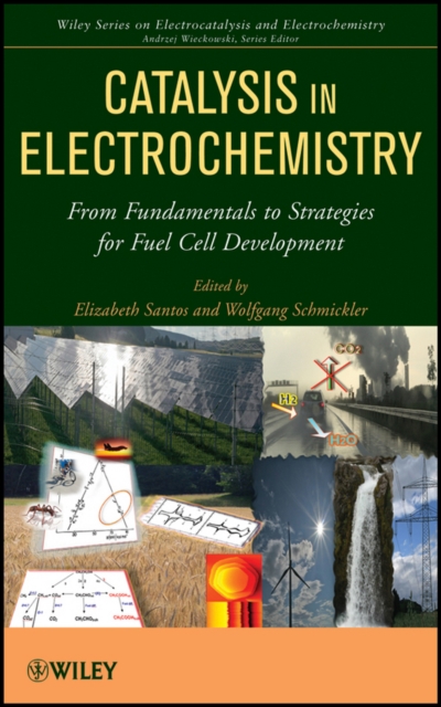 Catalysis in Electrochemistry : From Fundamental Aspects to Strategies for Fuel Cell Development, Hardback Book