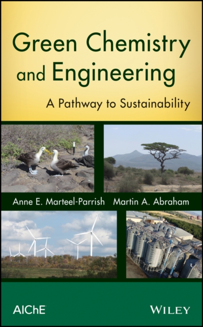 Green Chemistry and Engineering : A Pathway to Sustainability, Hardback Book