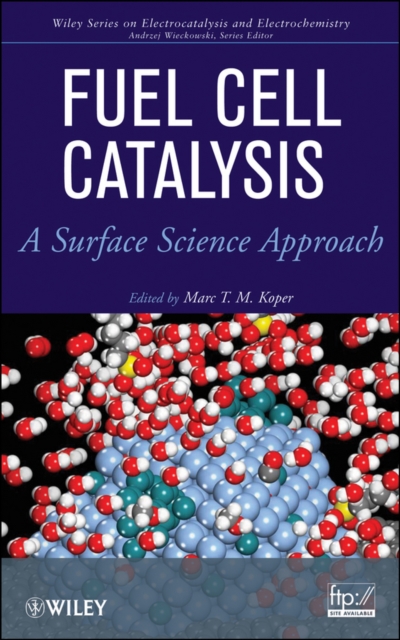 Fuel Cell Catalysis : A Surface Science Approach, PDF eBook