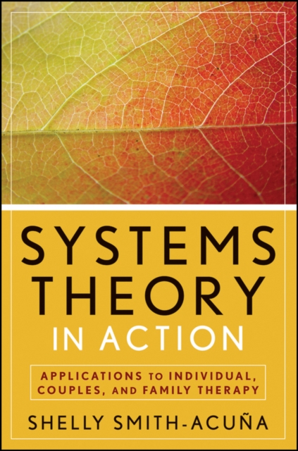 Systems Theory in Action : Applications to Individual, Couple, and Family Therapy, Paperback / softback Book
