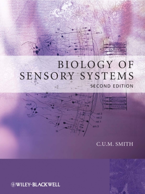 Biology of Sensory Systems, Paperback / softback Book