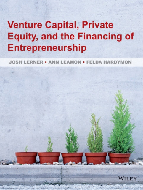 Venture Capital, Private Equity, and the Financing of Entrepreneurship, Hardback Book